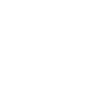 American Airboats Logo, White